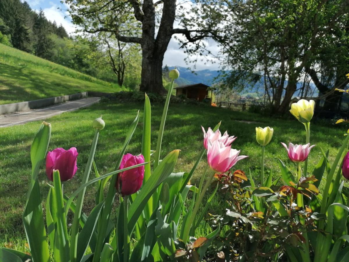 Hoerandlhof Aigen im Ennstal Luaran gambar