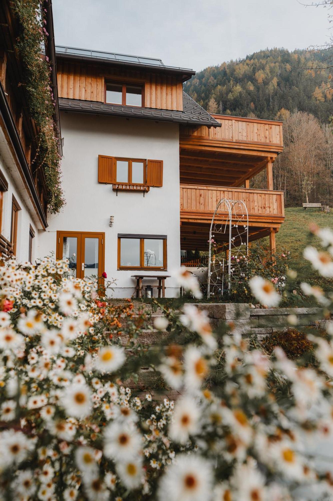 Hoerandlhof Aigen im Ennstal Luaran gambar